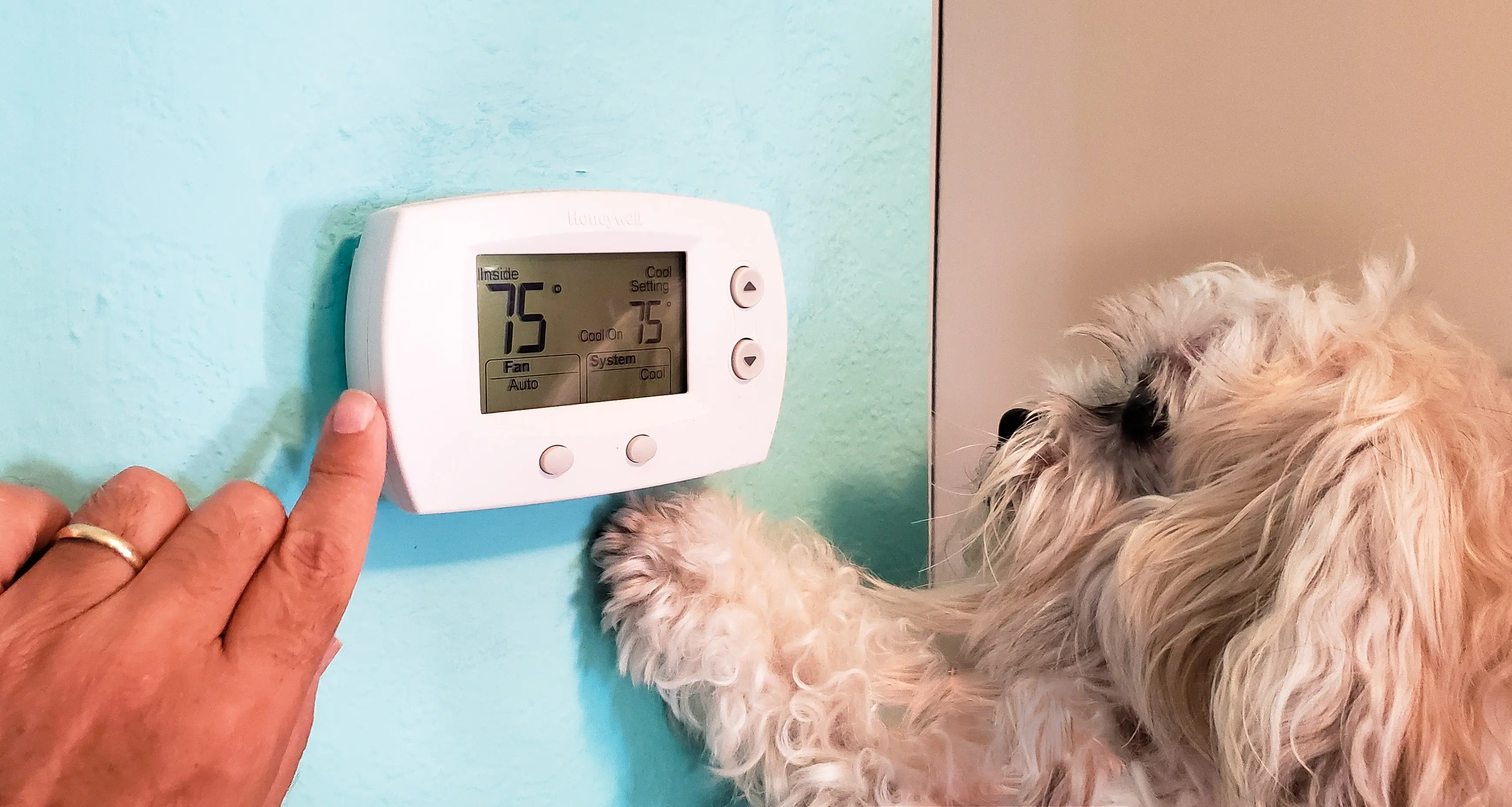 Heating-System-Maintenance--in-Desoto-Texas-heating-system-maintenance-desoto-texas.jpg-image